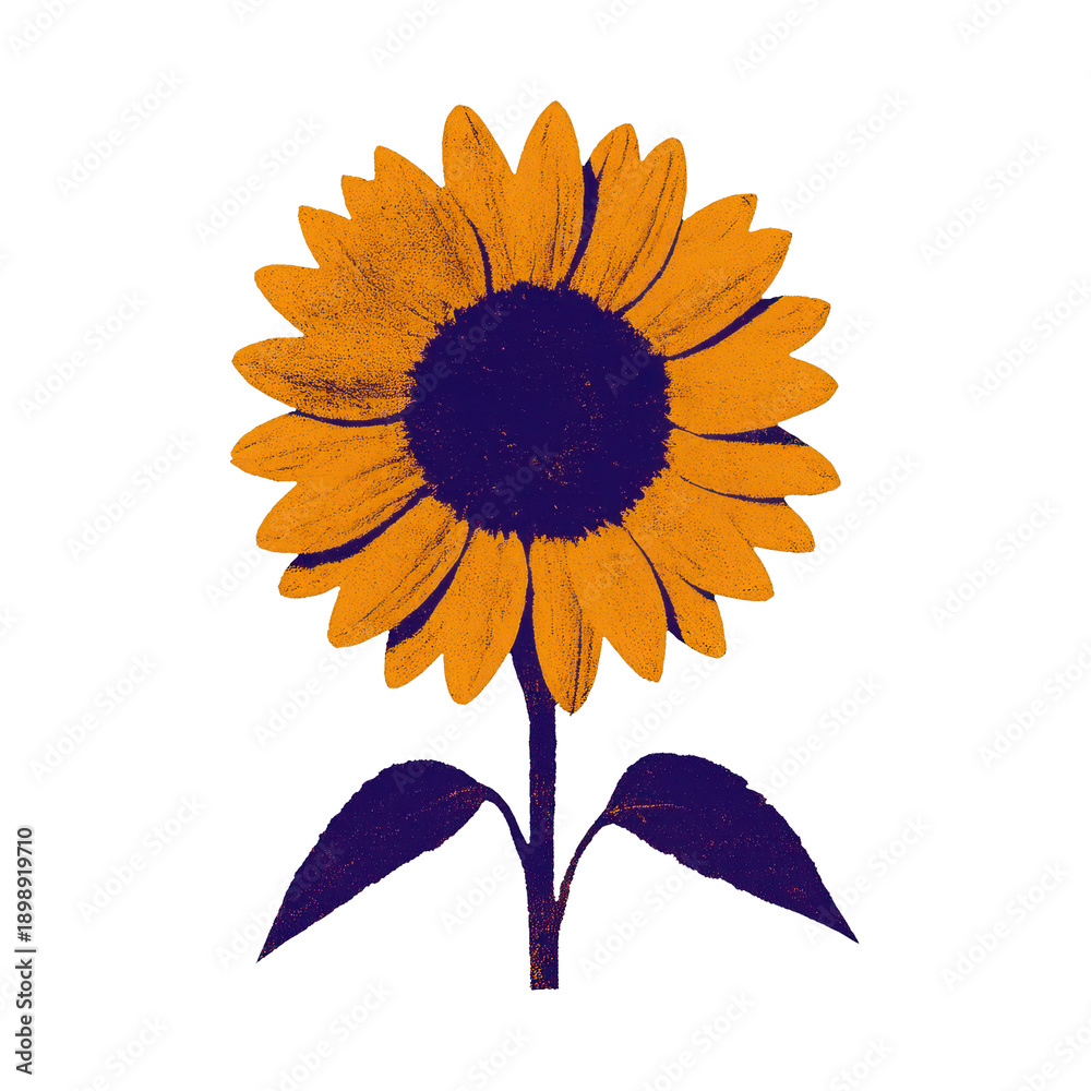Fototapeta premium PNG Vibrant sunflower illustration design