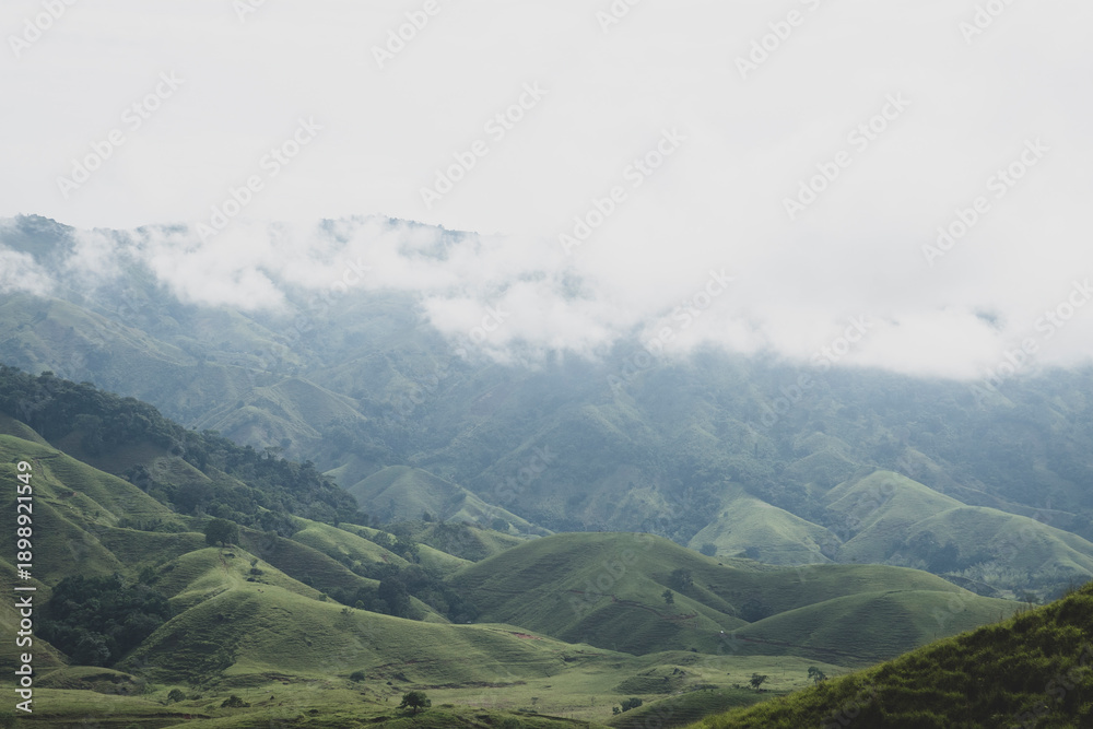 Obraz premium Colombian landscapes. Green mountains in Colombia, Latin America 