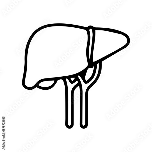 Human Liver Organ Icon