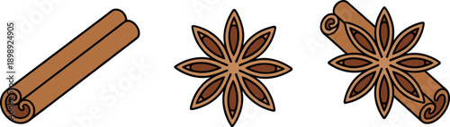 Cinnamon sticks and star anise isolated on a white background, a culinary spice collection