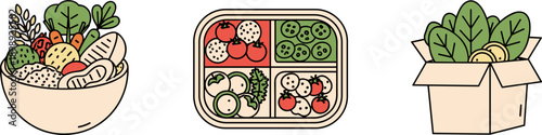 Healthy food options in a bowl, bento box, and delivery box, flat design