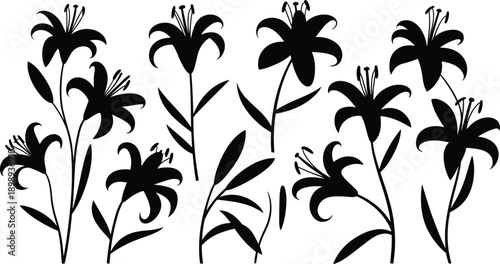 Black silhouettes of lilies with long stems and leaves creating a botanical and floral decorative pattern