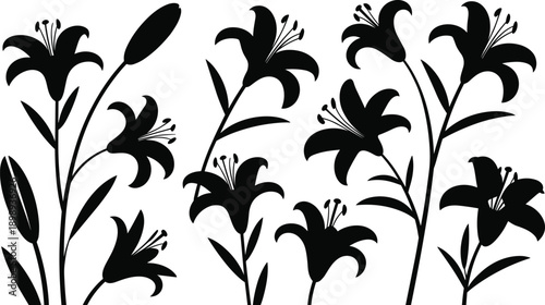 Black silhouettes of lily flowers and buds showcasing their distinctive petal shapes and stamen details against a clean white background for floral
