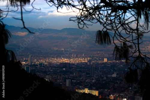 Foto The Wild and the Wired: A Visual Journey through Nature’s Threshold to the City