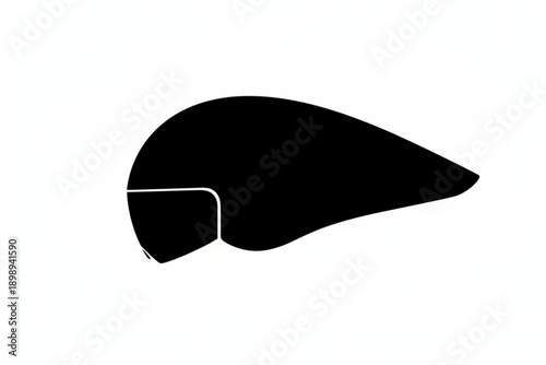 Human Liver in Silhouette: An anatomical representation of the human liver, meticulously presented in stark silhouette, highlighting its unique form and shape.