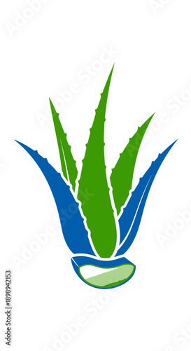 Geometric Vector Icon of an Abstract Aloe Vera Leaf for Wellness Applications. transparent.
