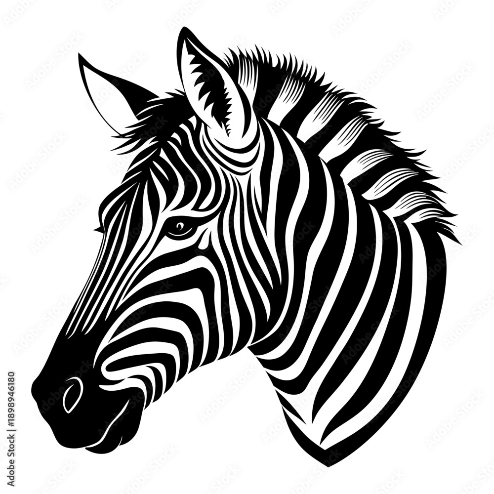 Fototapeta premium Zebra Head