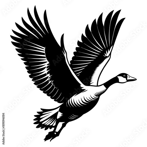 Flying Canadian Goose