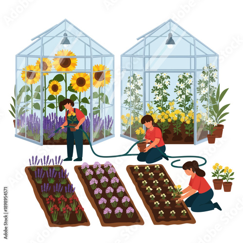 Women Tending Plants in Greenhouse Garden.