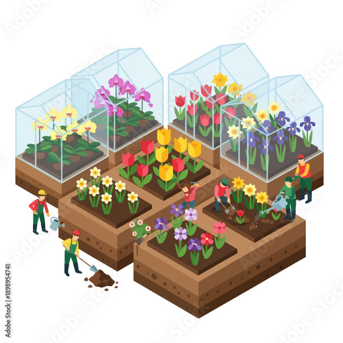 Gardeners Tending to Flowers in Greenhouses.