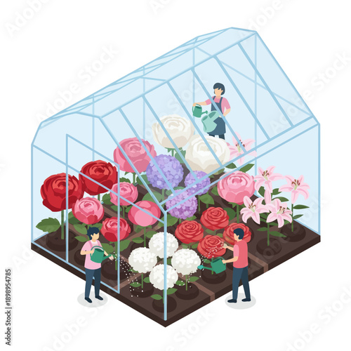 People Working in Greenhouse with Roses.