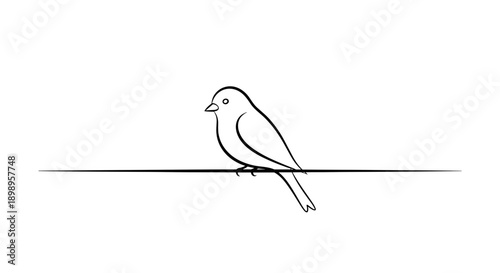 A simple line drawing of a small bird perched on a thin wire