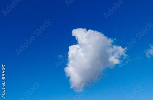 A lone, fluffy white cumulus cloud centered against a clear, vibrant blue sky. Shot from a low angle on a bright, sunny day.