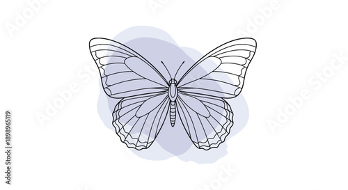 Detailed butterfly line drawing positioned over a soft lavender abstract shape for a modern and very artistic appearance.