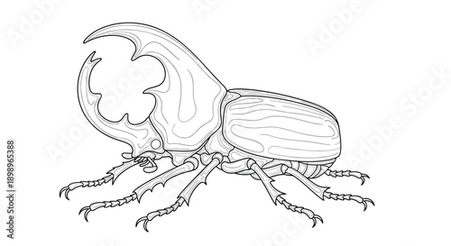 Detailed Hercules beetle sketch showing complex exoskeleton features and large horns in a minimalist black and white line art style.