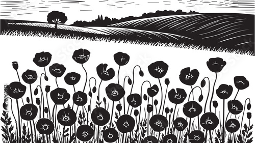 Black and White Poppies Field with Rolling Hills in the Background