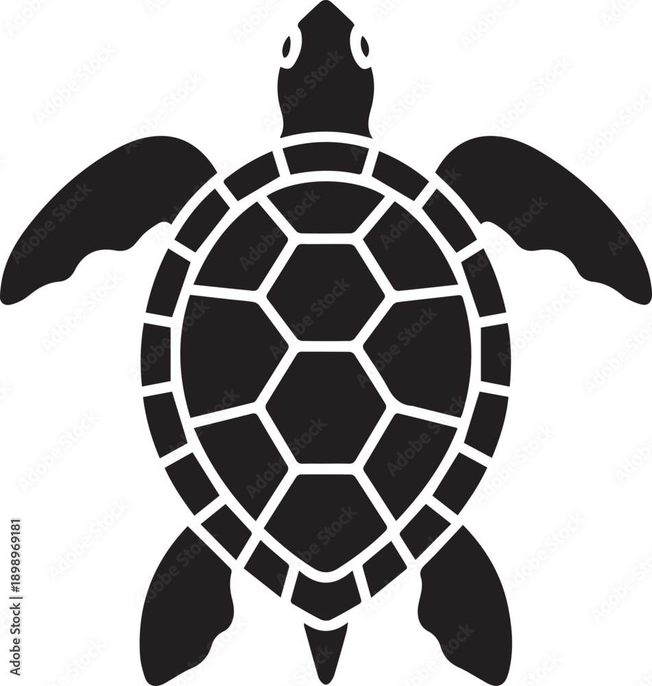Obraz premium turtle vector icon silhouette