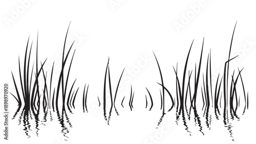 Minimalist black and white line art illustration of graceful grass stalks reflecting on a calm water surface, elegant nature design