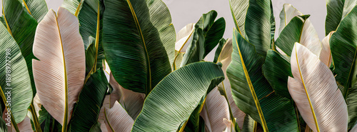 Tropical Resort Vibe, Bright and lush banana leaf artwork capturing the essence of exotic resorts, summer travel, and beach lifestyle, ideal for travel ads and holiday decor.