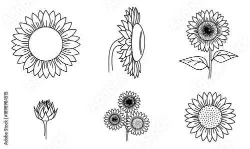 Hand drawn line art sunflower set featuring various blooms, buds, and plants for spring and summer design