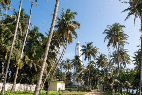 The tall white lighthouse building can be seen among the tall coconut palms on the southern coast of Sri Lanka. The Dondra Lighthouse is the southernmost point of Sri Lanka and the tallest lighthouse 