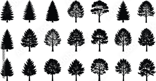 Set of detailed tree silhouettes isolated forest pine oak fir spruce woodland botanical vector collection nature landscape elements