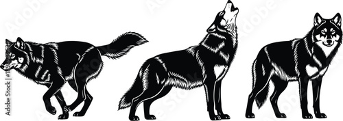 Wolf silhouettes detailed engraving style wild canine poses standing walking howling wildlife animal vector set isolated illustration
