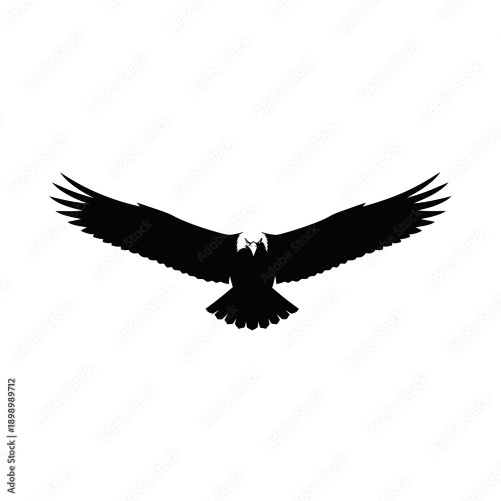 Fototapeta premium A silhouette of a bald eagle with its wings spread wide in flight.