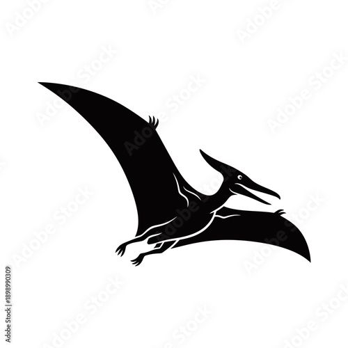 Black silhouette of a Pterodactyl flying with wings spread against a white background, depicting a prehistoric creature in motion.