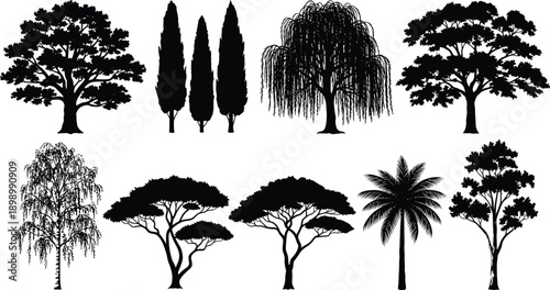 Set of black tree silhouettes including oak, cypress, willow, acacia, palm, and deciduous forest shapes, detailed vector illustration for nature, landscape, eco 