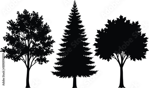 Set of black tree silhouettes isolated on white background featuring deciduous oak and evergreen pine trees, botanical nature elements for graphic design and stock illustration