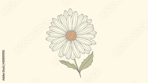 Beautiful botanical illustration of a white daisy flower with a textured yellow center and small green leaves for floral design themes.