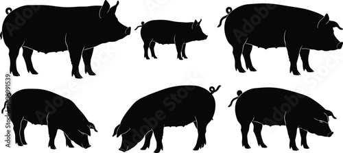 Set of pig and piglet silhouettes in different standing and feeding poses, black farm animal icons isolated on white background, 
