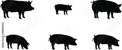 Set of pig silhouettes in different poses, black farm animal icons isolated on white background, minimalist vector illustration for agriculture, branding, design, and stock use