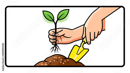 Gardening basics: planting a seedling with care and precision