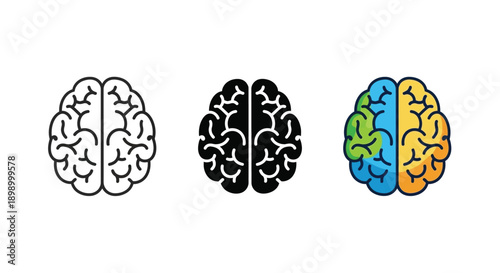 Collection of three distinct human brain illustrations showing outline solid and multicolored lateralization concept art