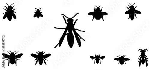 Vector illustration design of silhouette of group of flying insects