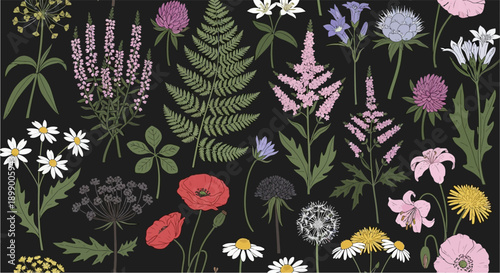 A vibrant collection of various wild and garden flowers and plants, including ferns, poppies, daisies, and dandelions, against a dark background.