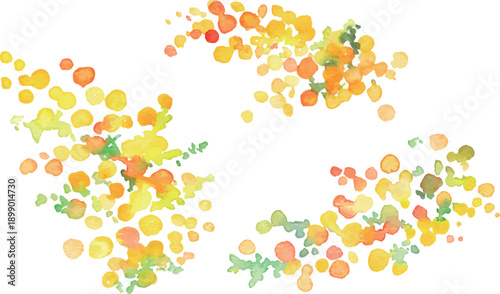 水彩画。水彩タッチの春のミモザフレーム。ミモザのベクターイラスト。春の植物背景。Watercolor painting. Spring mimosa frame with watercolor touches. Vector illustration of mimosa. Spring botanical background.