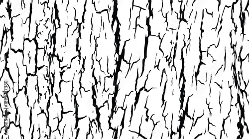 Ironbark tree bark texture in black and white pattern background.