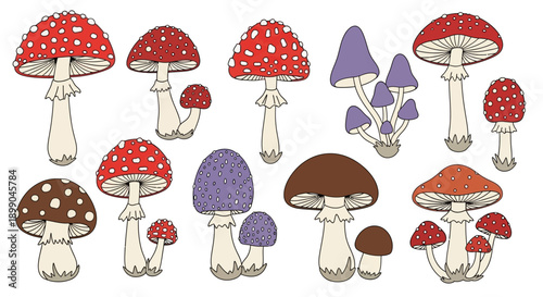 A detailed illustration of various colorful mushrooms, including red, purple, and brown fungi, depicted in different sizes and clusters.