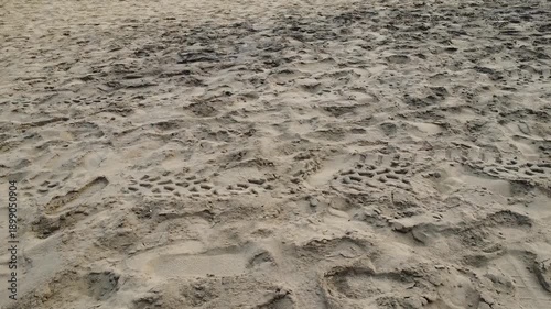 footprint in sand