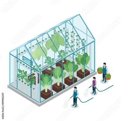 Greenhouse with People Watering Plants.