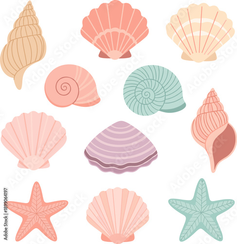 astel seashell collection featuring hand drawn starfish and ocean shells in soft coastal colors for summer beach nautical designs