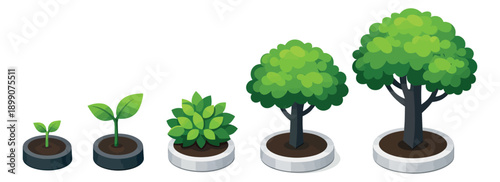 Isometric vector plant growth set featuring sprouts, a bush, and trees in pots for ecology and horticulture