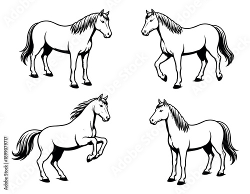 Hand drawn line art horse set featuring equine figures in various poses for design projects