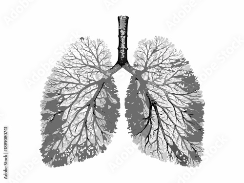 Anatomical illustration of human lungs resembling a tree s branches