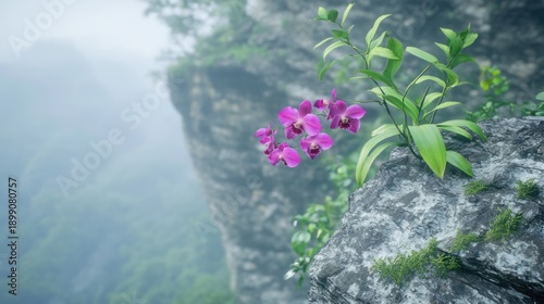Vibrant Pink Orchid Growing on Rocky Cliff Edge in Misty Landscape