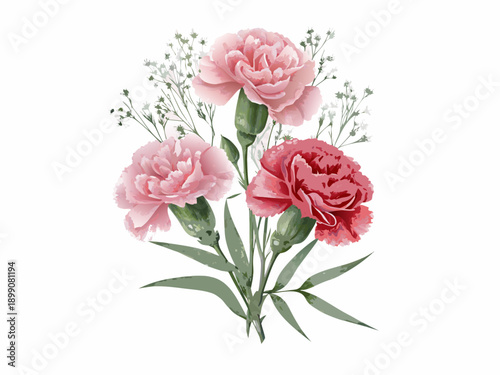 Watercolor illustration of pink and red carnation flowers with green foliage