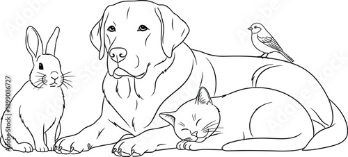 Dog cat rabbit and bird together, cute animal friendship illustration, pet line art drawing, domestic animals coloring page vector
